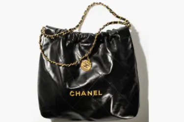 Chanel-22-Bag-featured-images Chanel 22 Bag featured images