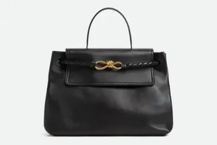 Bottega Veneta Ciao Ciao Medium Bag Featured image